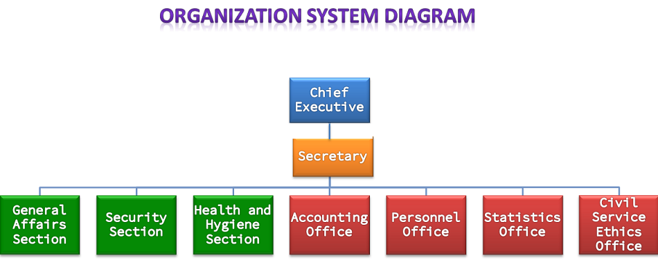 Organizational Structure